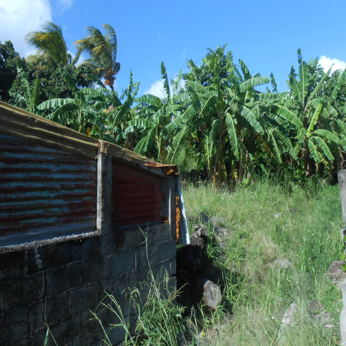 Vente Terrains en Guadeloupe avec Les agences [X]