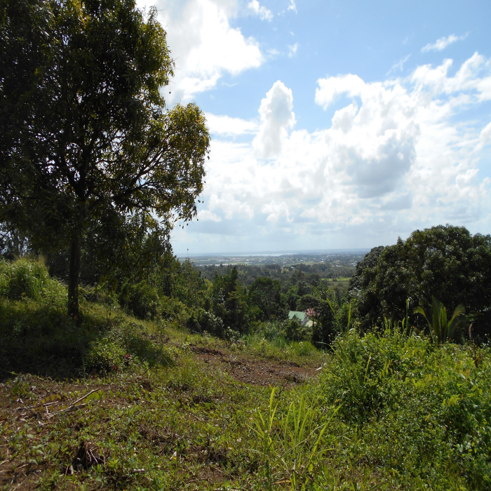 Vente Terrains en Guadeloupe avec Les agences [X]