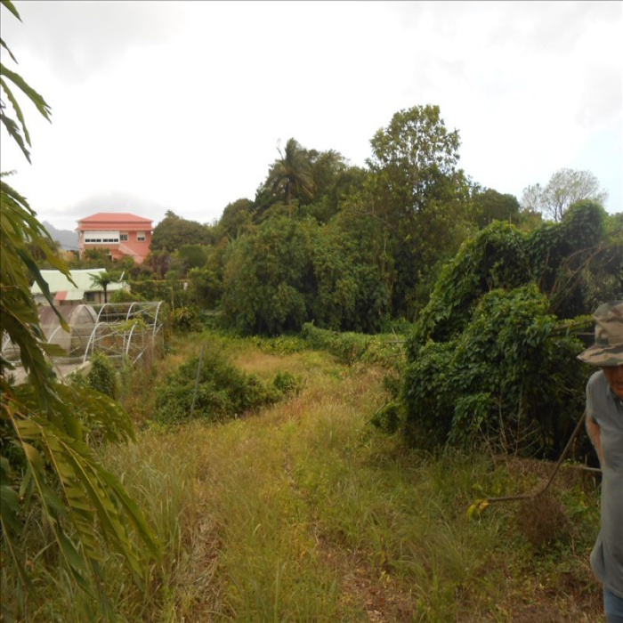 Vente terrains en Guadeloupe avec Les agences [X]
