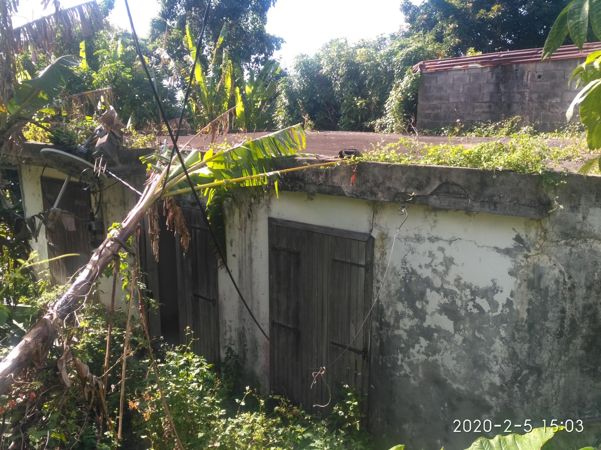 terrain SaintClaude SAINT CLAUDE GUADELOUPE MAISON A RENOVER OU A DEMOLIR Contact Immobilier terrain SaintClaude SAINT CLAUDE GUADELOUPE MAISON A RENOVER OU A DEMOLIR Contact Immobilier
