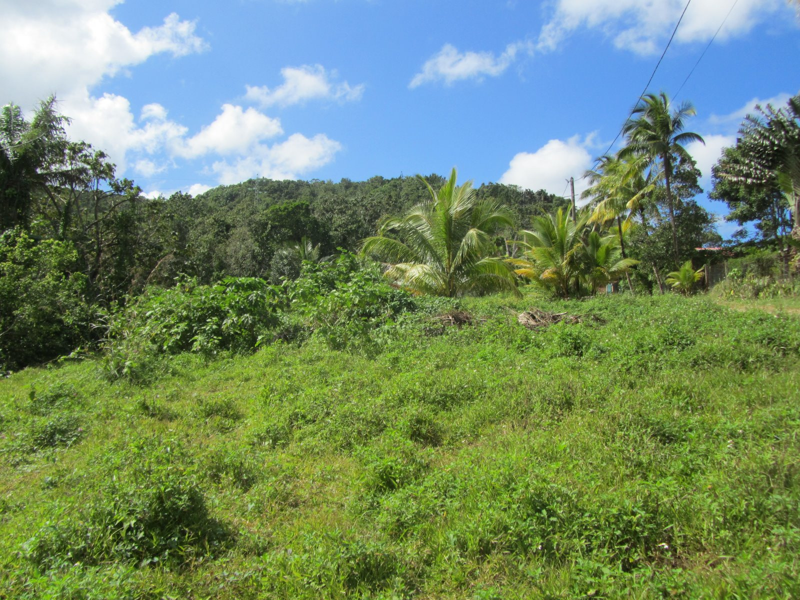 terrain PointeNoire TERRAINS A BATTIR VUE MER. POINTE NOIRE